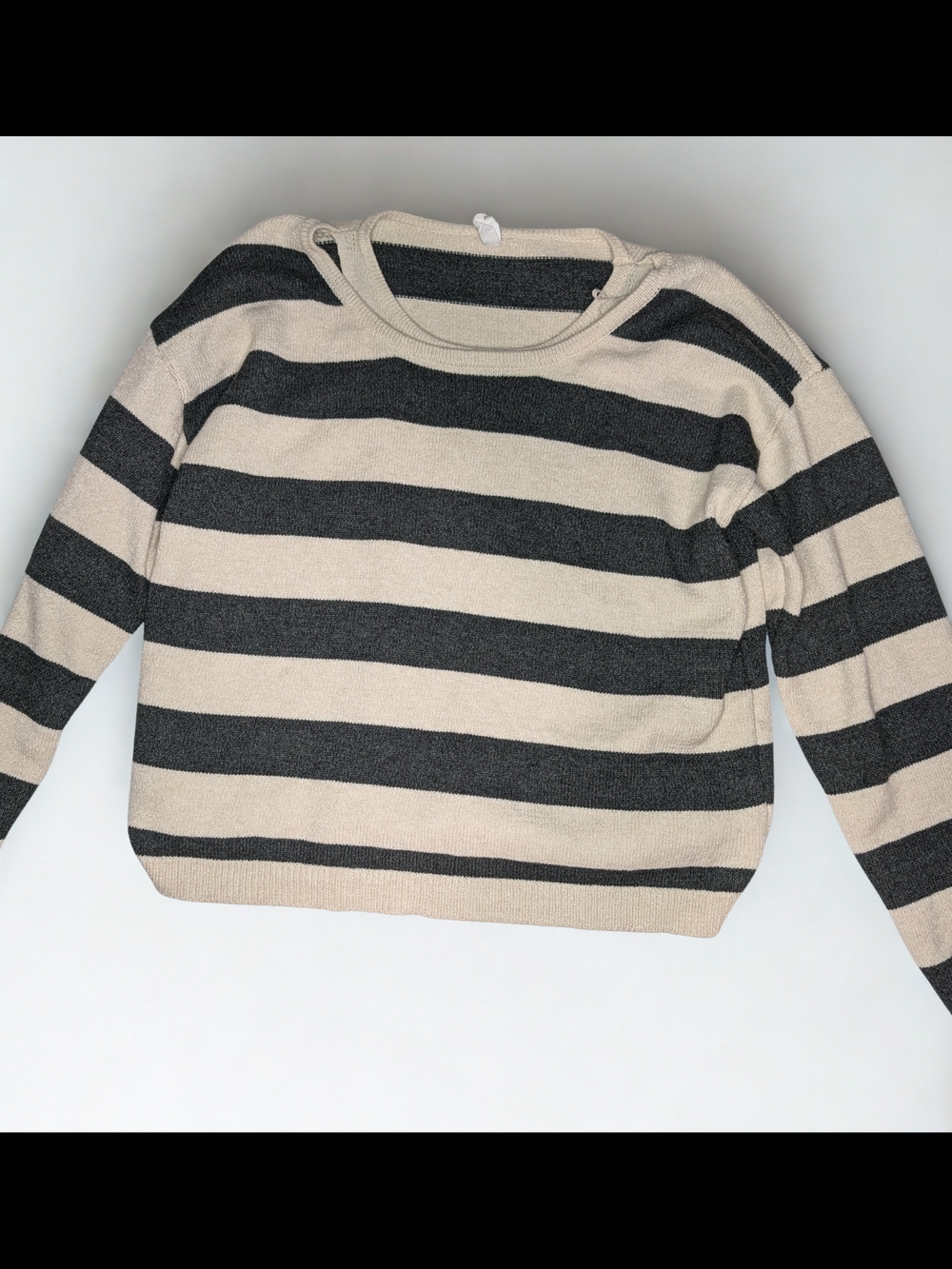 Wishlist Striped Crewneck Sweater in Beige and Charcoal